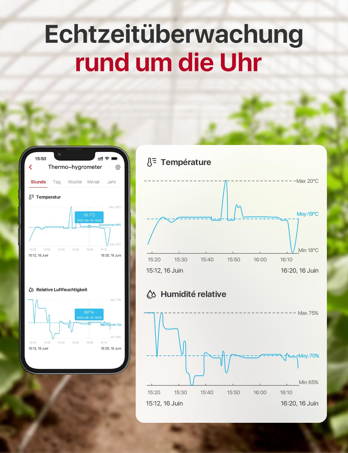 Auf dem Bildschirm des Telefons werden Temperatur- und Feuchtigkeitskurven angezeigt.