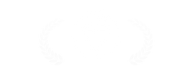 icon1